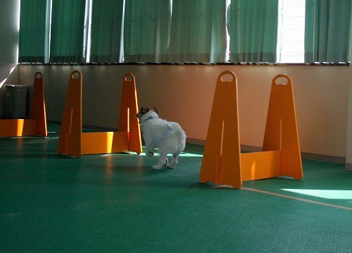 010.jpg