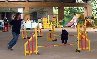 1000642100.jpg