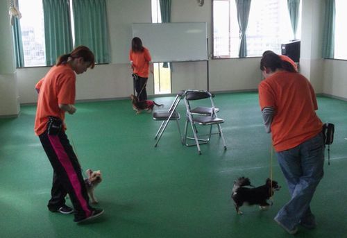 110509_142331.jpg