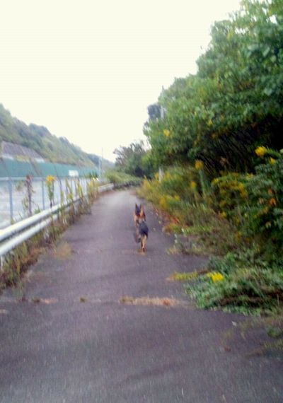 111103_170221.jpg