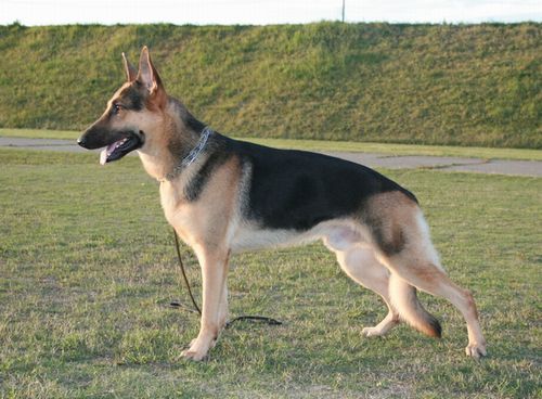 2009.10 11 008.jpg