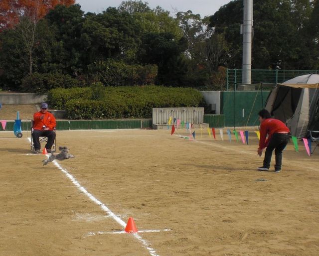 2009.11 29 016.jpg