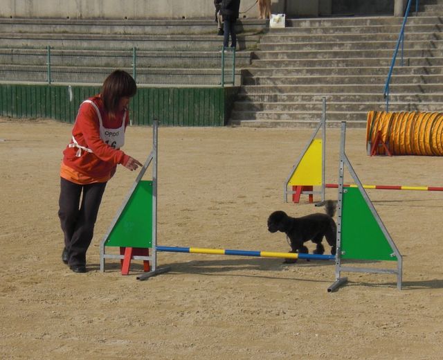 2009.11 29 040.jpg