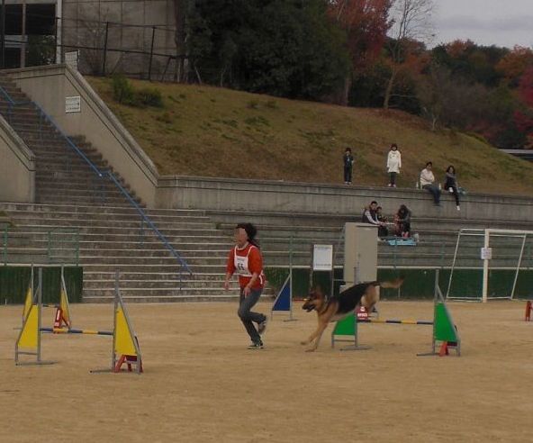 2009.11 29 093.jpg