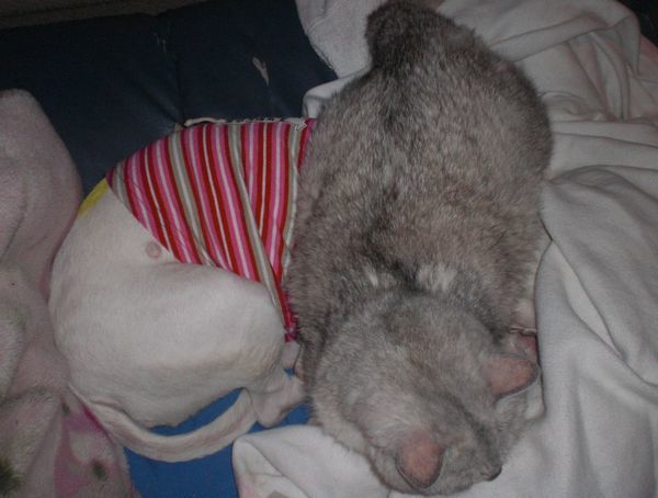 2009.12.07 003.jpg