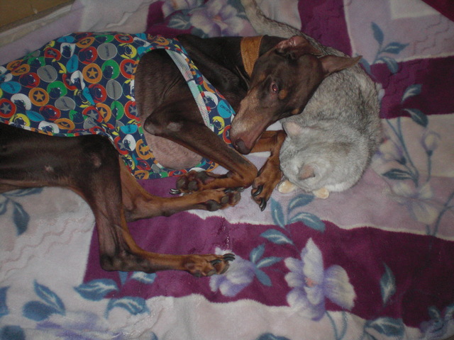 2009.12.07 013.jpg