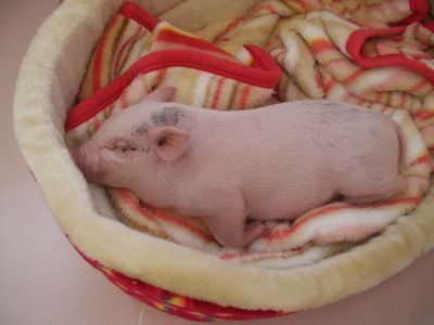 2009.6.21 086.jpg