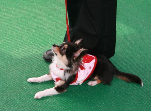 2010.02.27 025.jpg