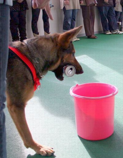 2010.02.27 132.jpg
