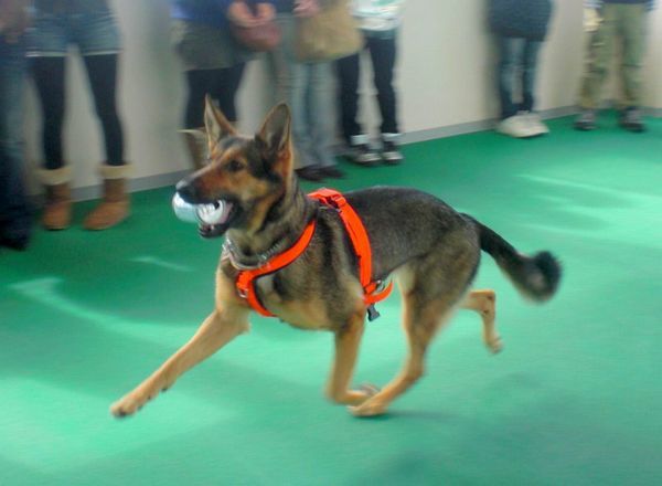 2010.02.27学説 042.jpg