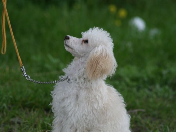 2010.04.27 011.jpg