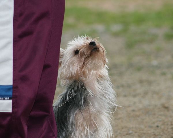 2010.04.27 015.jpg