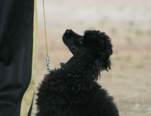 2010.04.27 018.jpg