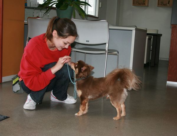 2010.05.07cibi 033.jpg