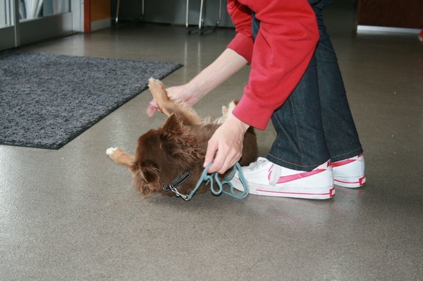 2010.05.07cibi 047.jpg