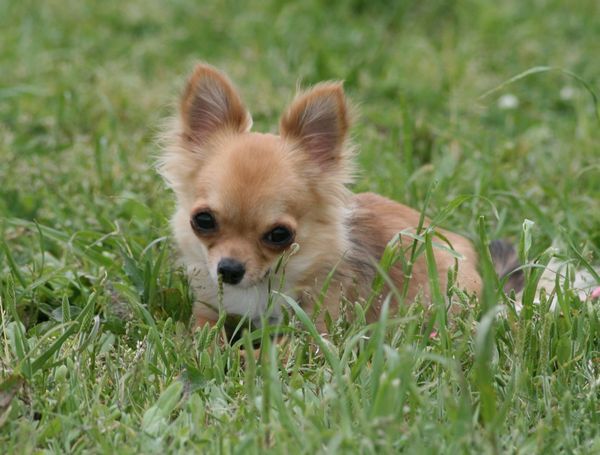 2010.05.13 017.jpg