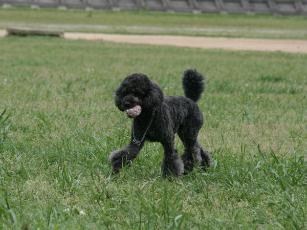 2010.05.13 033.jpg