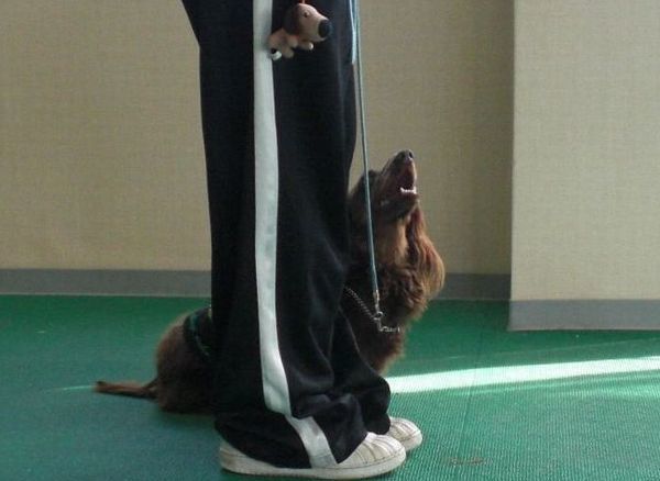 2010.05.18 025.jpg