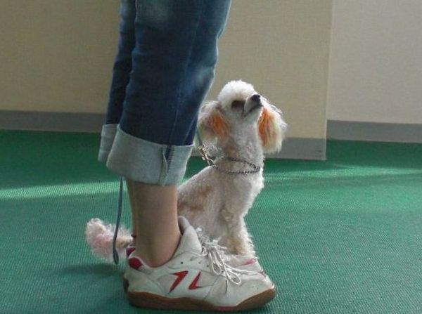 2010.05.18 037.jpg