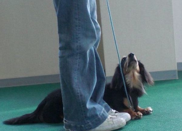 2010.05.18 042.jpg