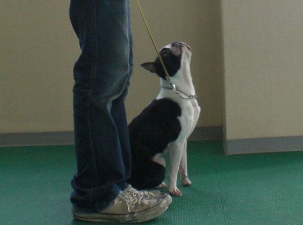 2010.05.18 046.jpg