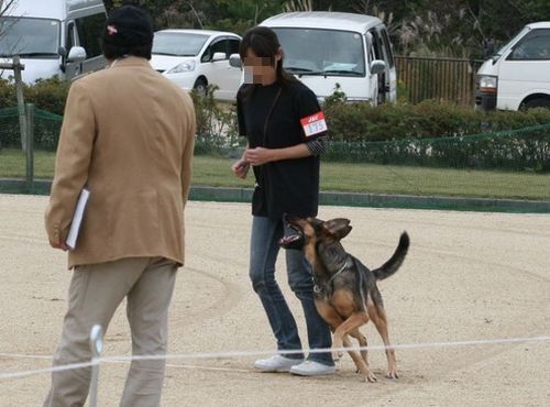 2010.10.31 011.jpg