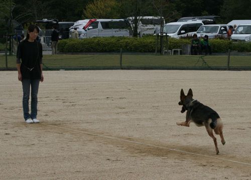 2010.10.31 015.jpg