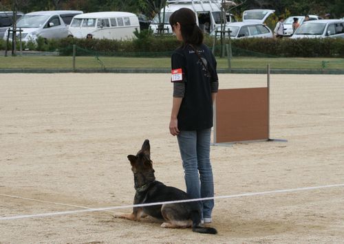 2010.10.31 020.jpg