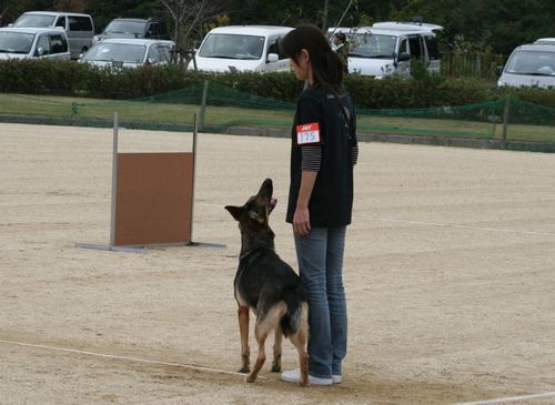 2010.10.31 021.jpg