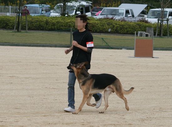 2010.10.31 158.jpg
