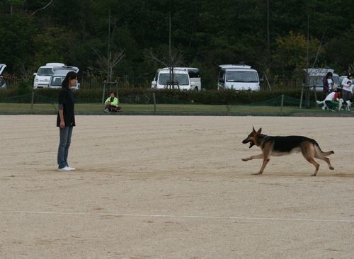 2010.10.31 164.jpg