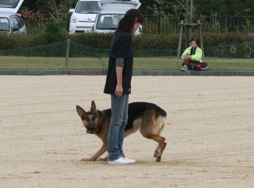 2010.10.31 167.jpg