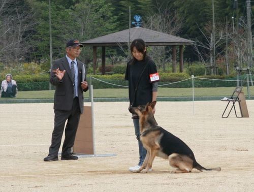 2010.10.31 179.jpg