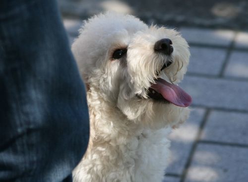 2010.8.31 129.jpg