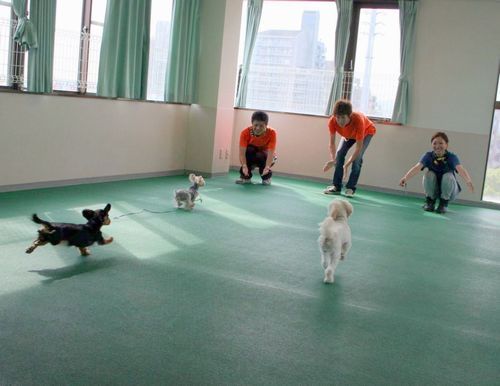 2010.9.22 003.jpg