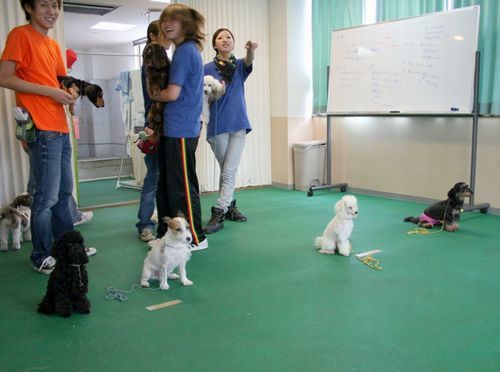 2010.9.22 018.jpg