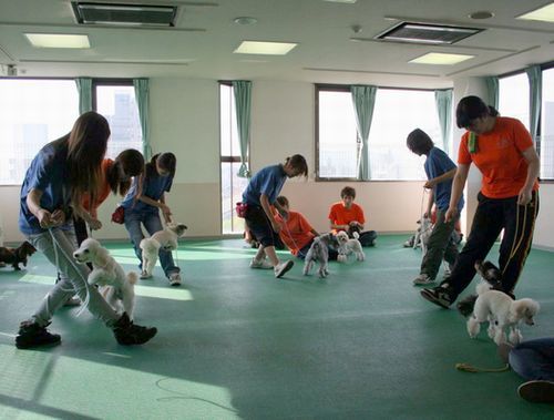 2010.9.22 079.jpg