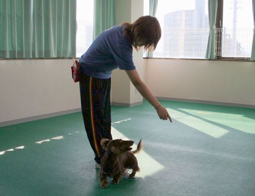 2010.9.22 092.jpg