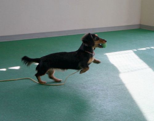 2010.9.22 135.jpg