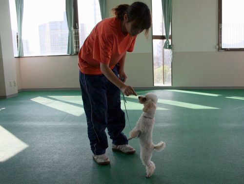 2010.9.22 143.jpg