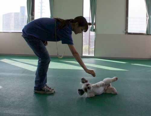 2010.9.22 150.jpg