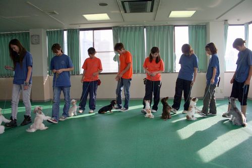 2010.9.22 189.jpg