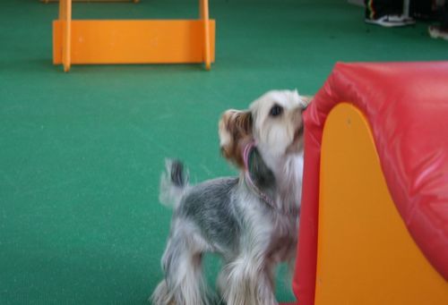 2010.9.22フライボール 020.jpg