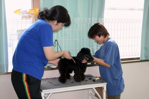 2010.9.22フライボール 086.jpg