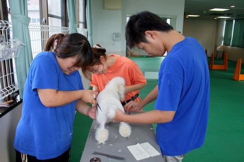 2010.9.22フライボール 088.jpg