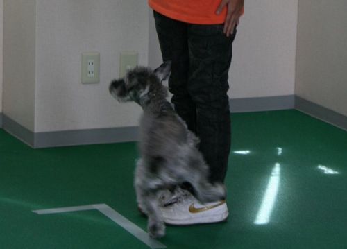 2010.9.7トレーニングライセンステスト 06.jpg