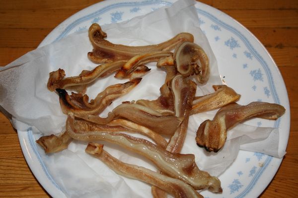 2010 01 31 012.jpg