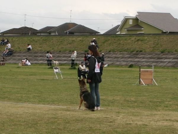 2010 04.11PD 120.jpg