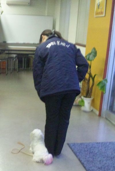 2010 04.30 003.jpg