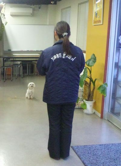 2010 04.30 005.jpg